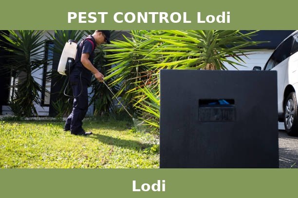 PEST CONTROL Lodi